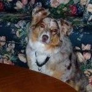 Meet your Posher, Patricia